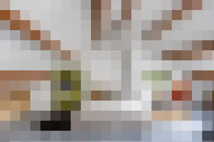 Platanendreef 33 Vlaardingen thumbnail 58