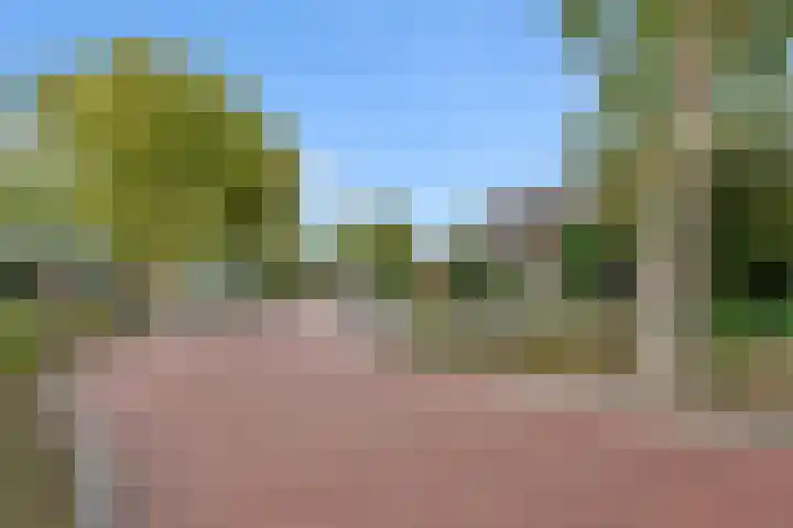 Platanendreef 33 Vlaardingen thumbnail 61