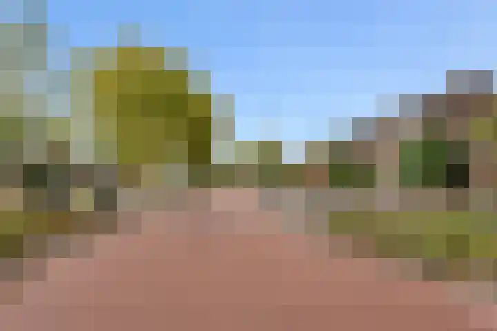 Platanendreef 33 Vlaardingen thumbnail 62