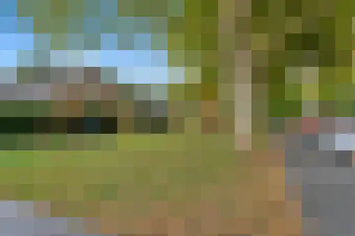 Platanendreef 33 Vlaardingen thumbnail 63