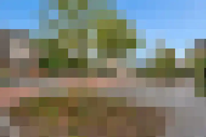 Platanendreef 33 Vlaardingen thumbnail 64
