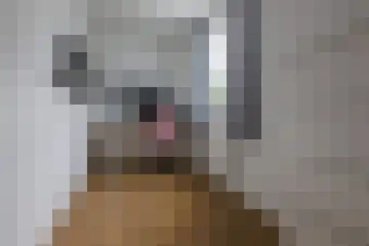 Platanendreef 35 Brunssum thumbnail 20