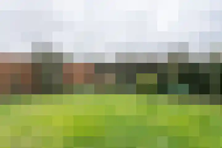 Platanendreef 44 Brunssum foto 3
