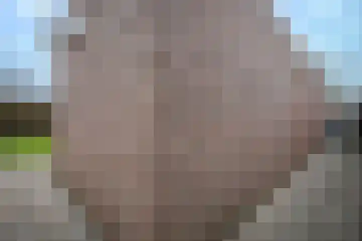 Platanendreef 51 Brunssum thumbnail 29