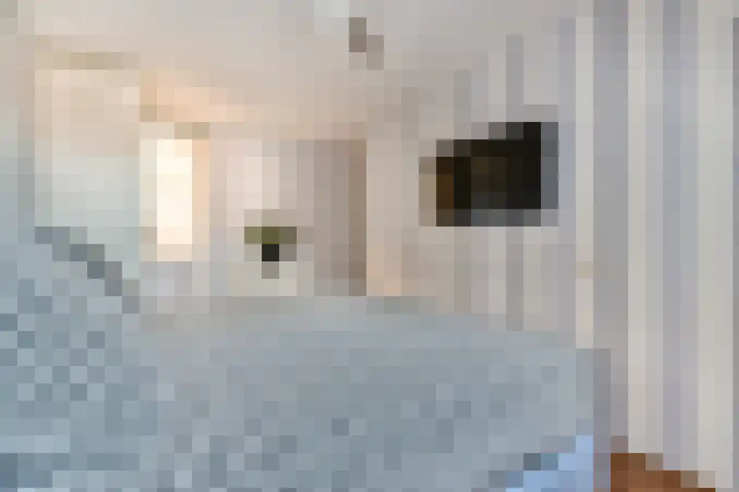 Platanendreef 6 Vlaardingen thumbnail 13