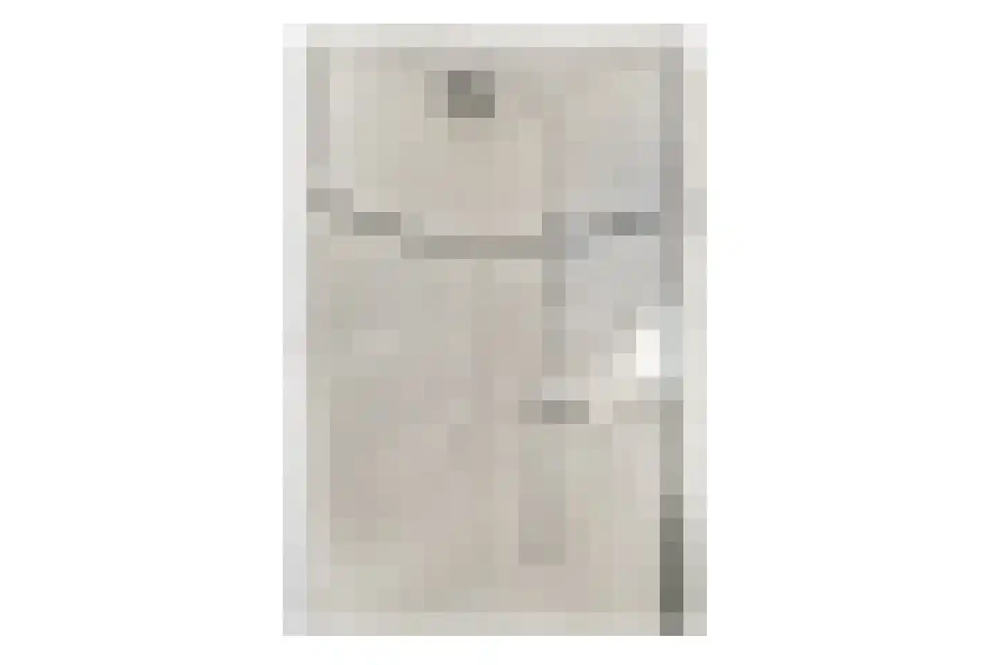 Platanendreef 6 Vlaardingen thumbnail 15