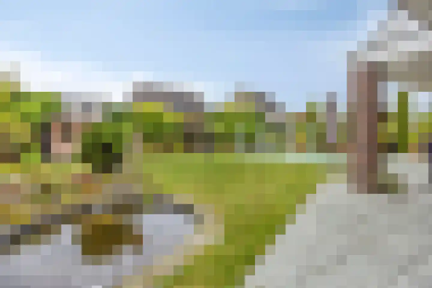 Platanendreef 81 Brunssum thumbnail 46