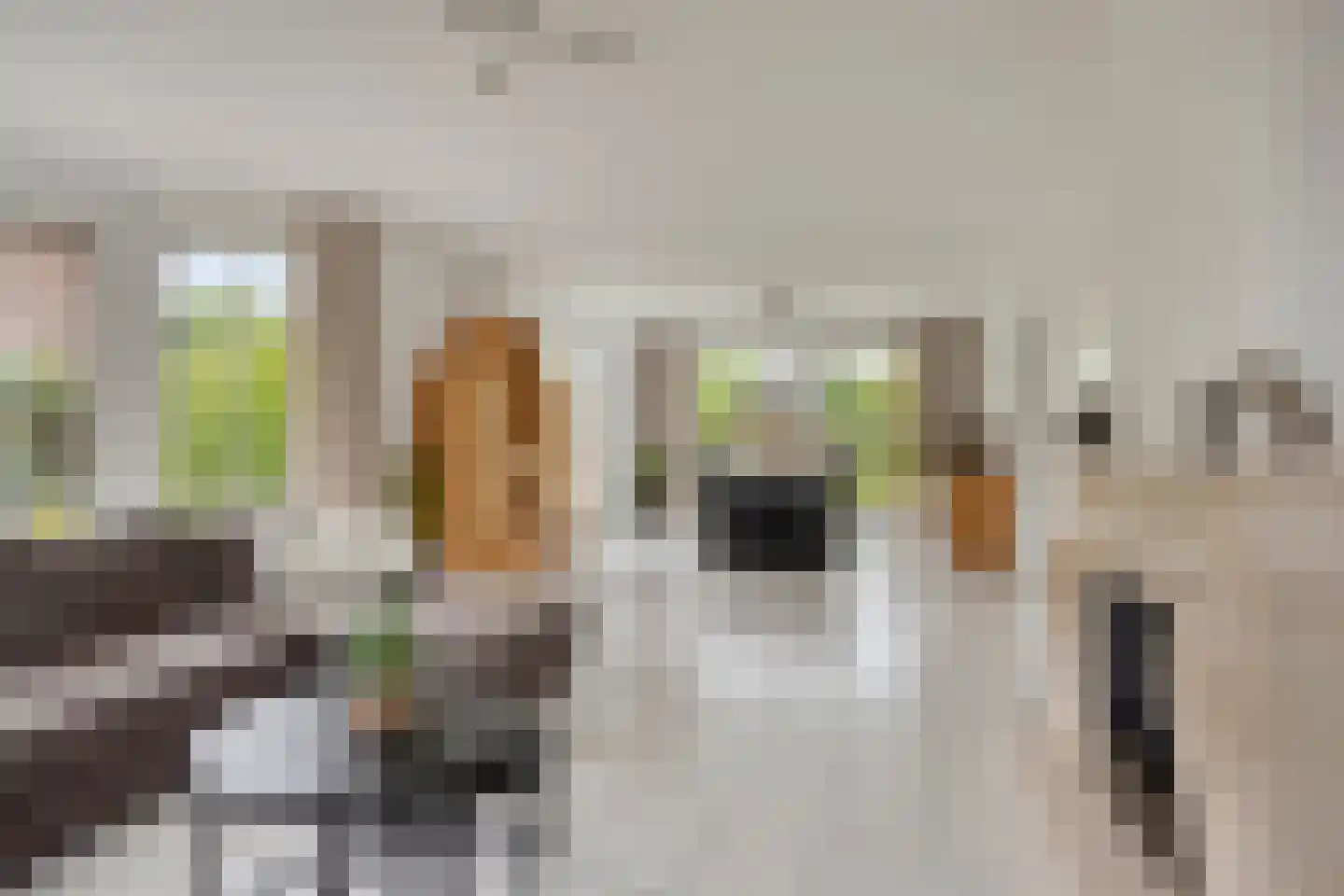 Platanendreef 81 Brunssum thumbnail 7