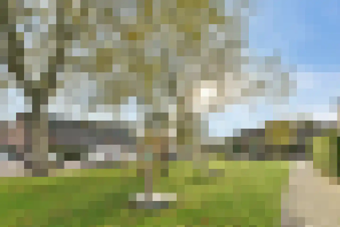 Platanendreef 92 Vlaardingen thumbnail 30