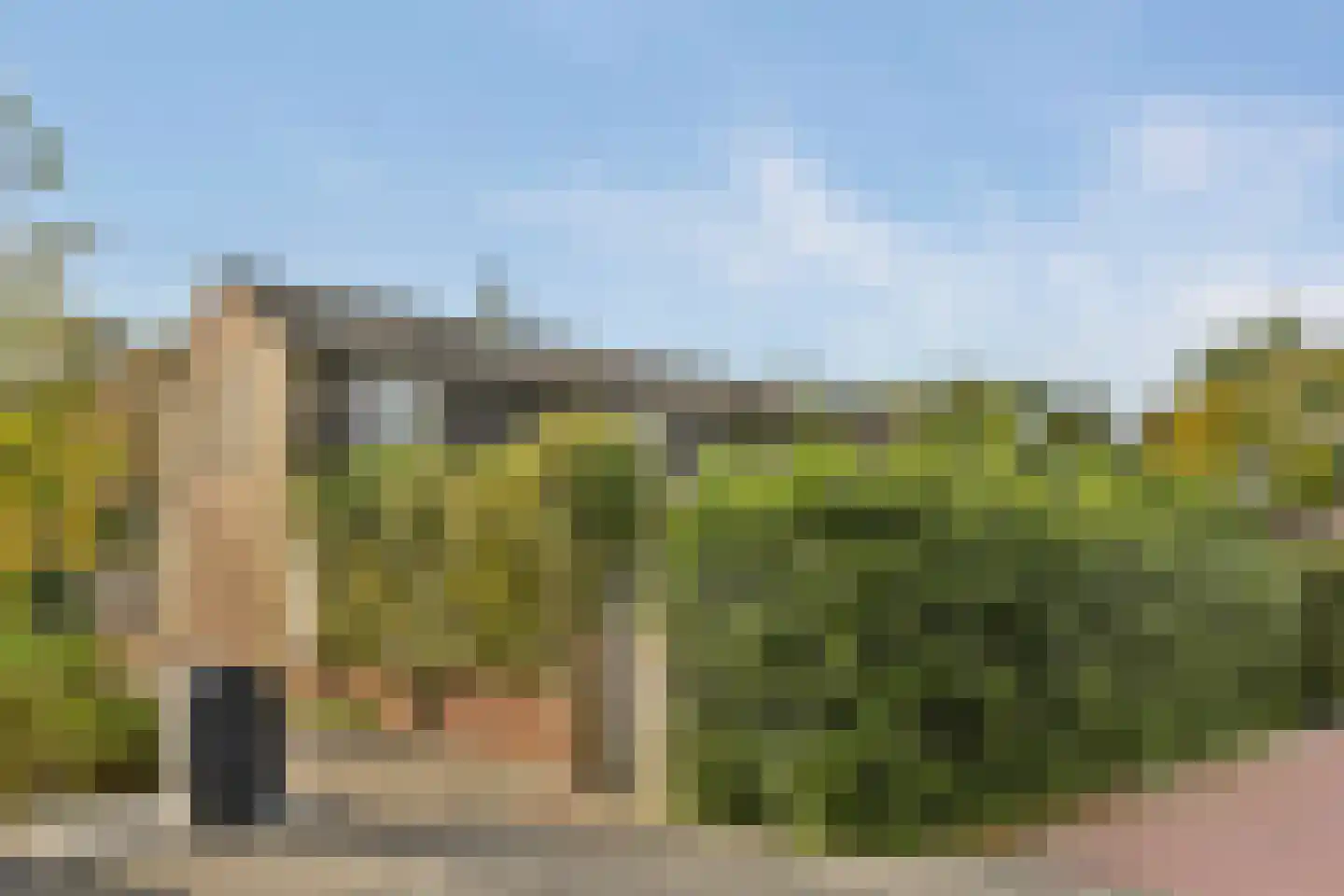 Platanendreef 92 Vlaardingen thumbnail 6