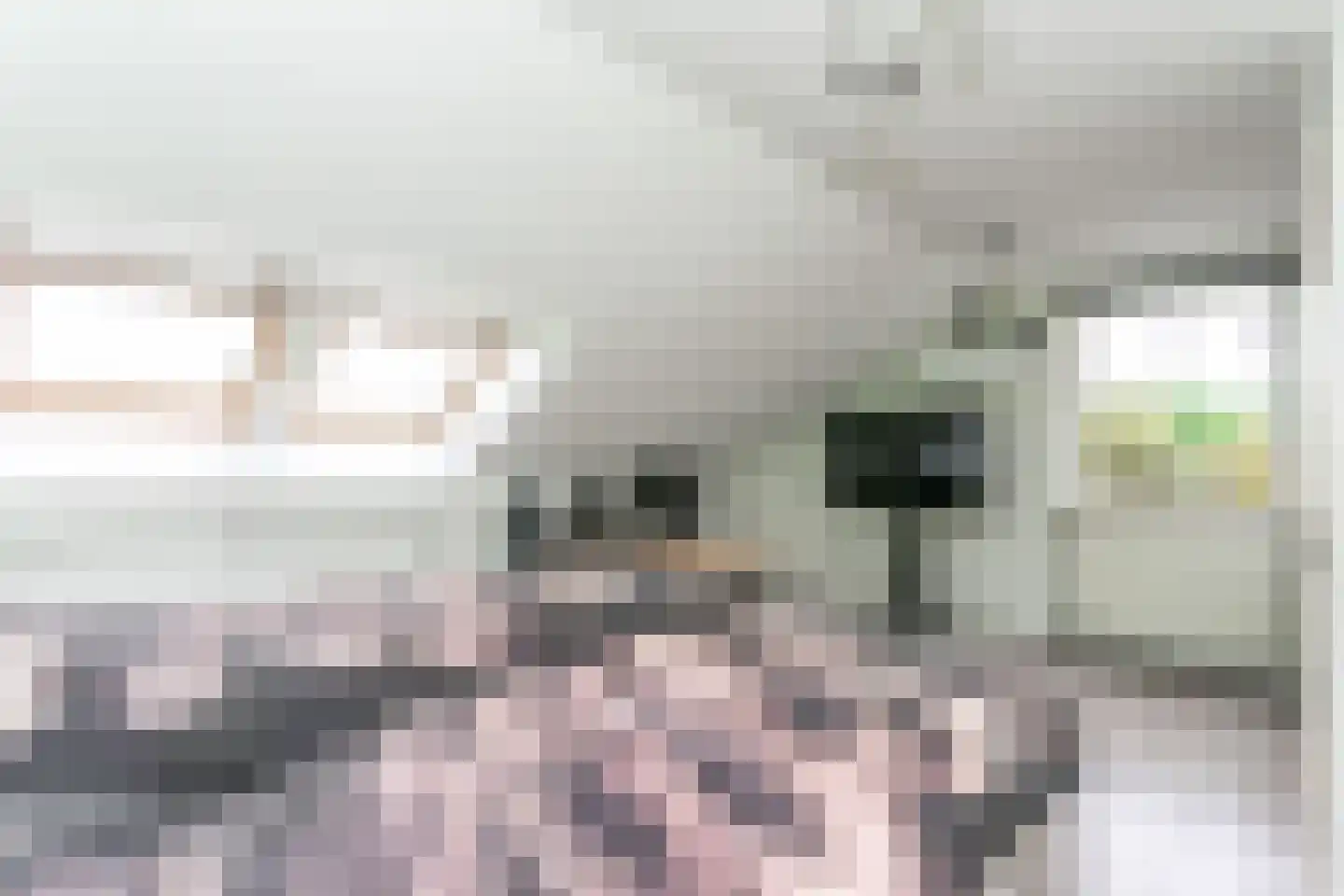 Platanendreef 94 Brunssum thumbnail 23