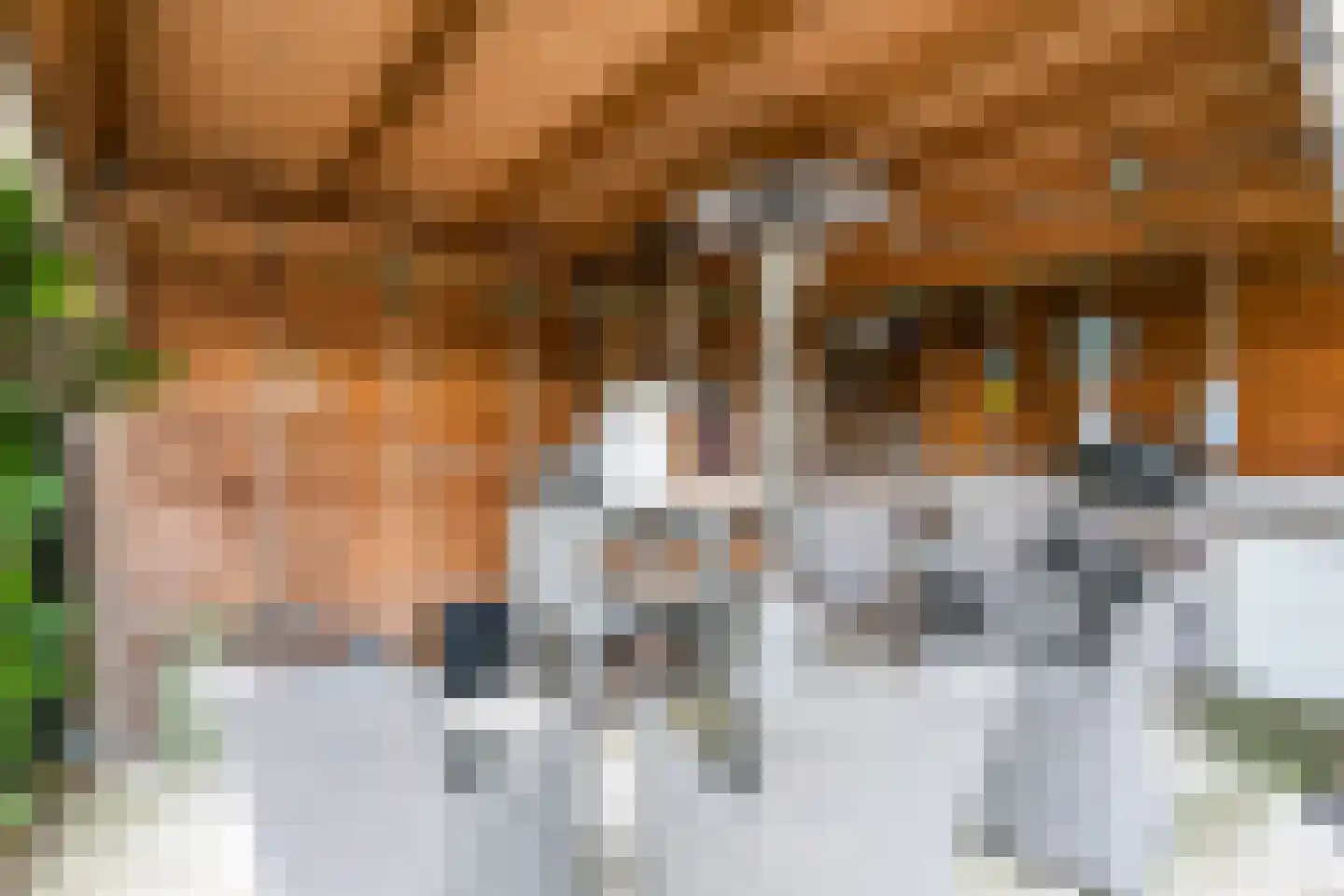 Platanendreef 94 Brunssum thumbnail 38