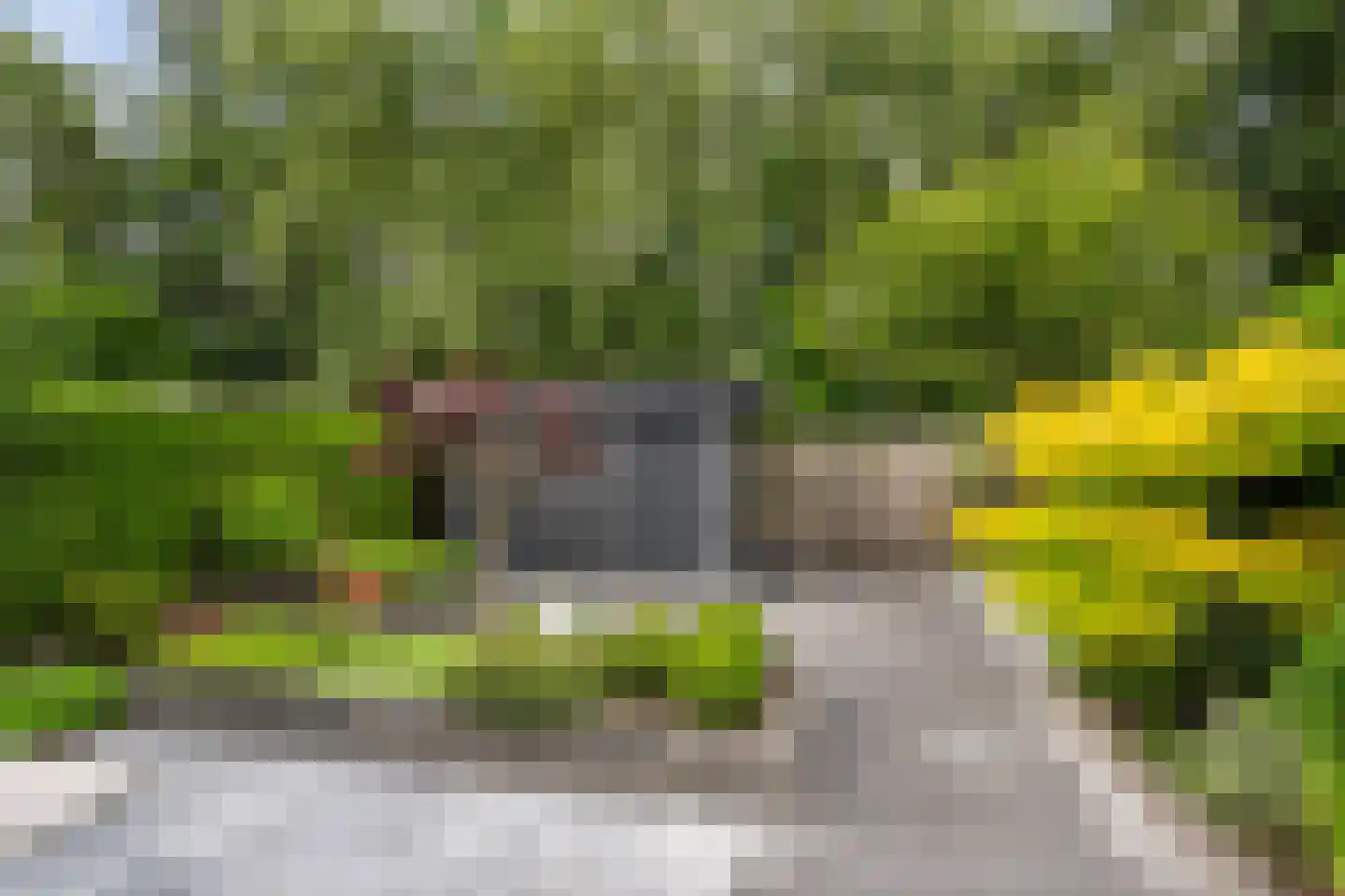 Platanendreef 95 Vlaardingen thumbnail 23