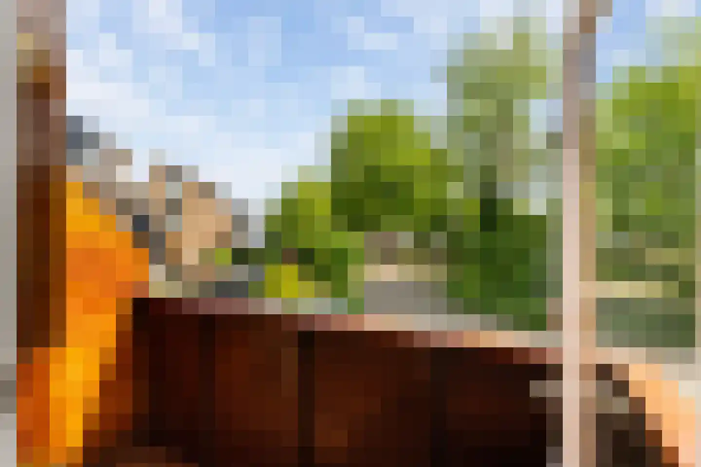 Platanendreef 95 Vlaardingen thumbnail 31