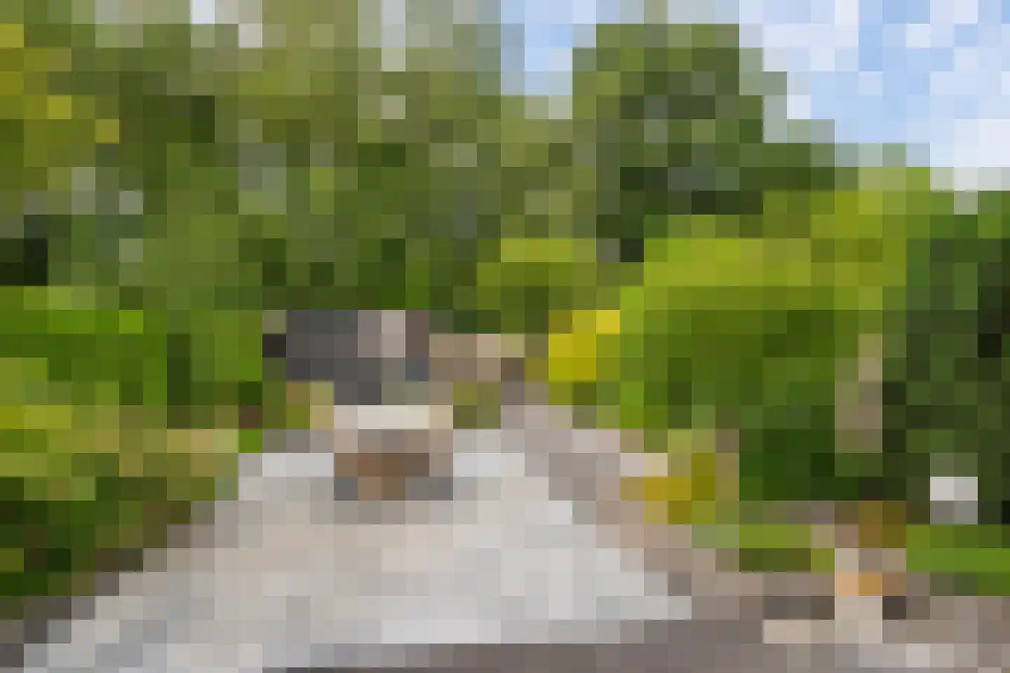 Platanendreef 95 Vlaardingen thumbnail 6
