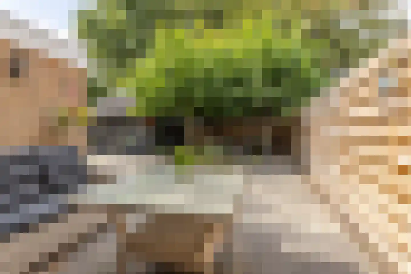 Platanenhage 12 Stadskanaal thumbnail 34