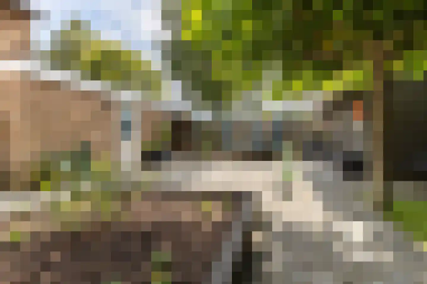 Platanenhage 12 Stadskanaal thumbnail 41