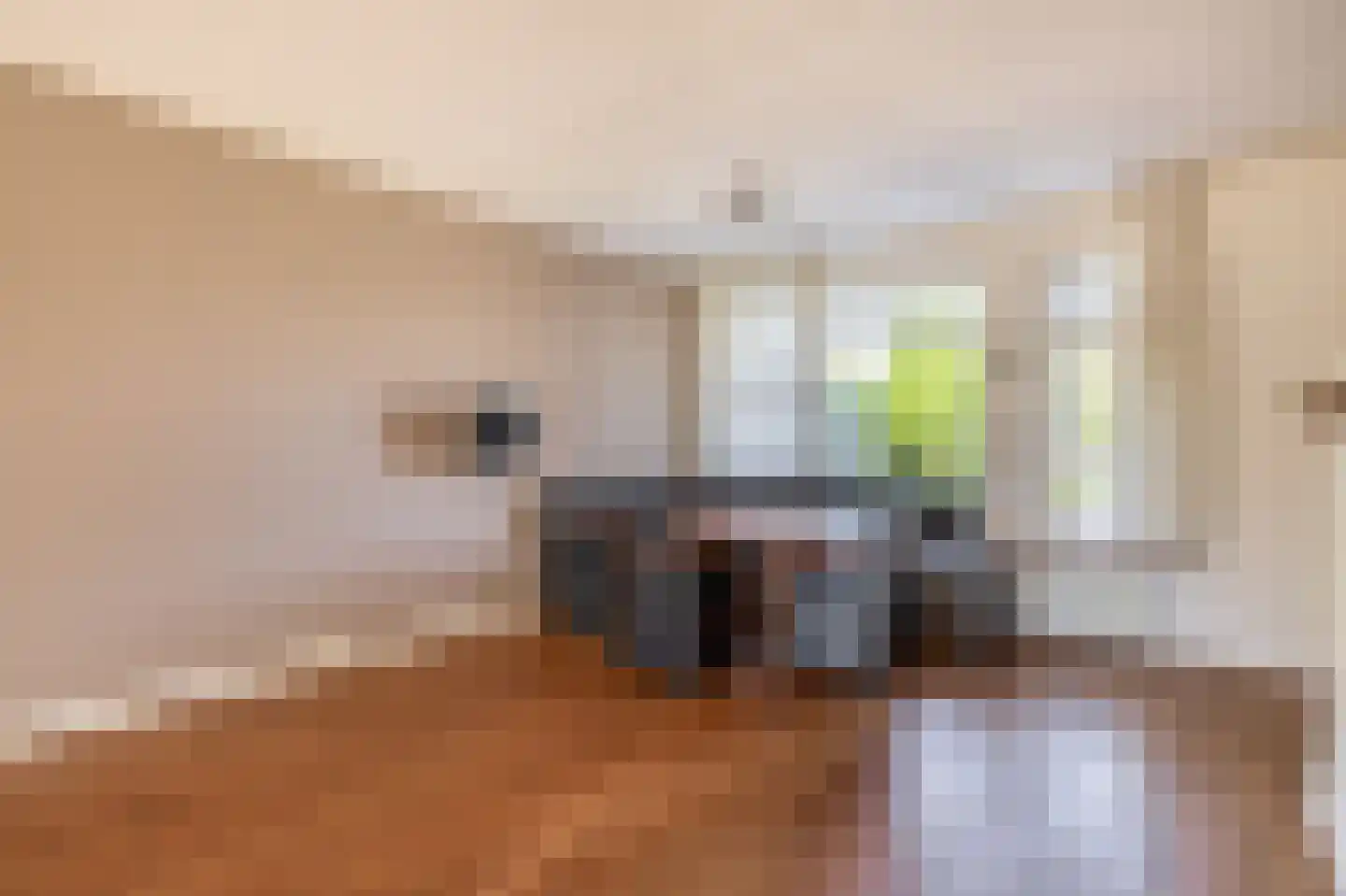 Platanenhage 2 Stadskanaal thumbnail 23