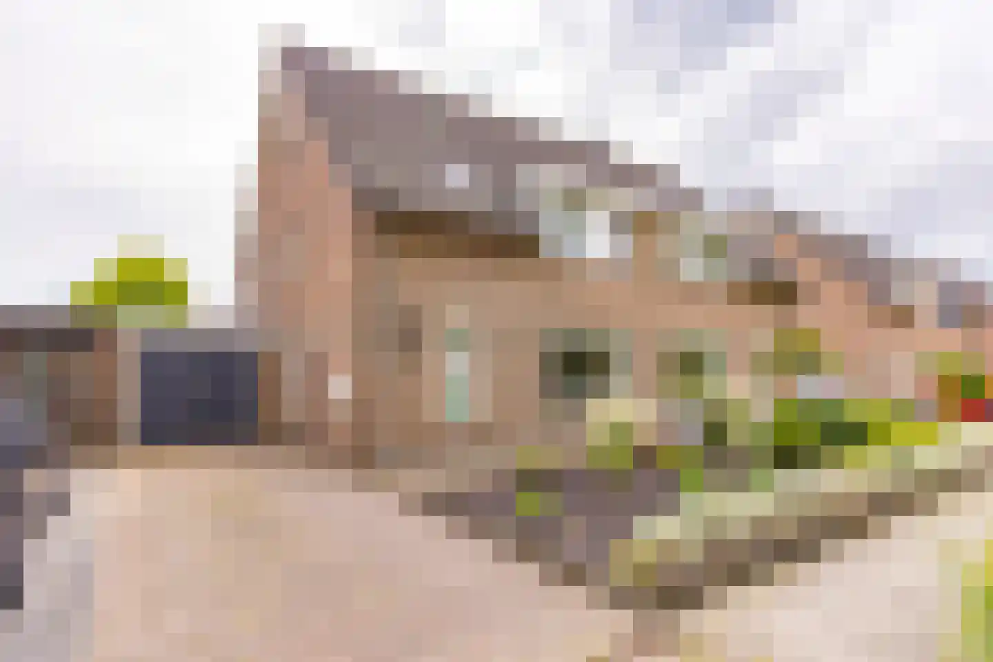 Platanenhage 40 Stadskanaal