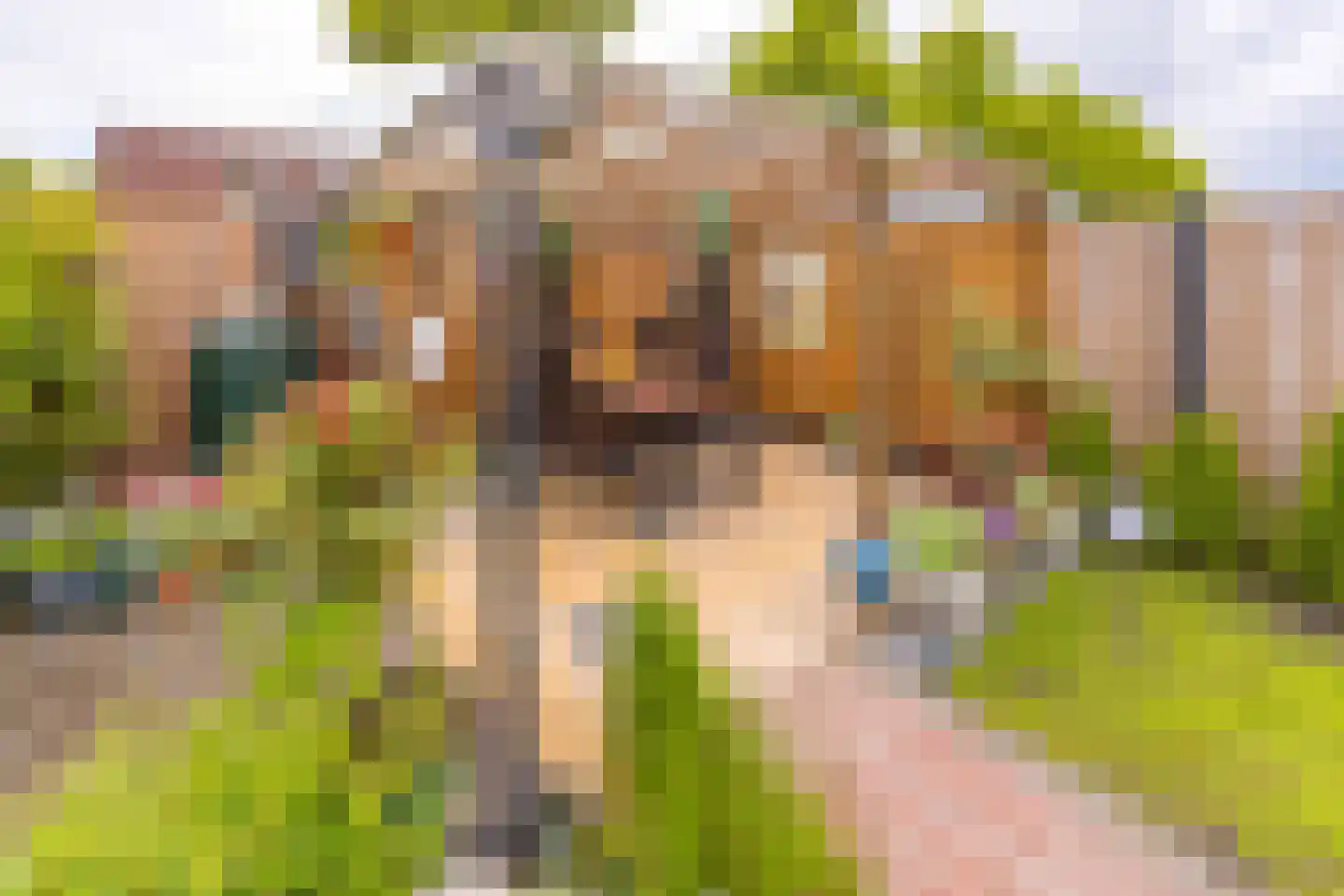 Platanenhage 40 Stadskanaal thumbnail 28