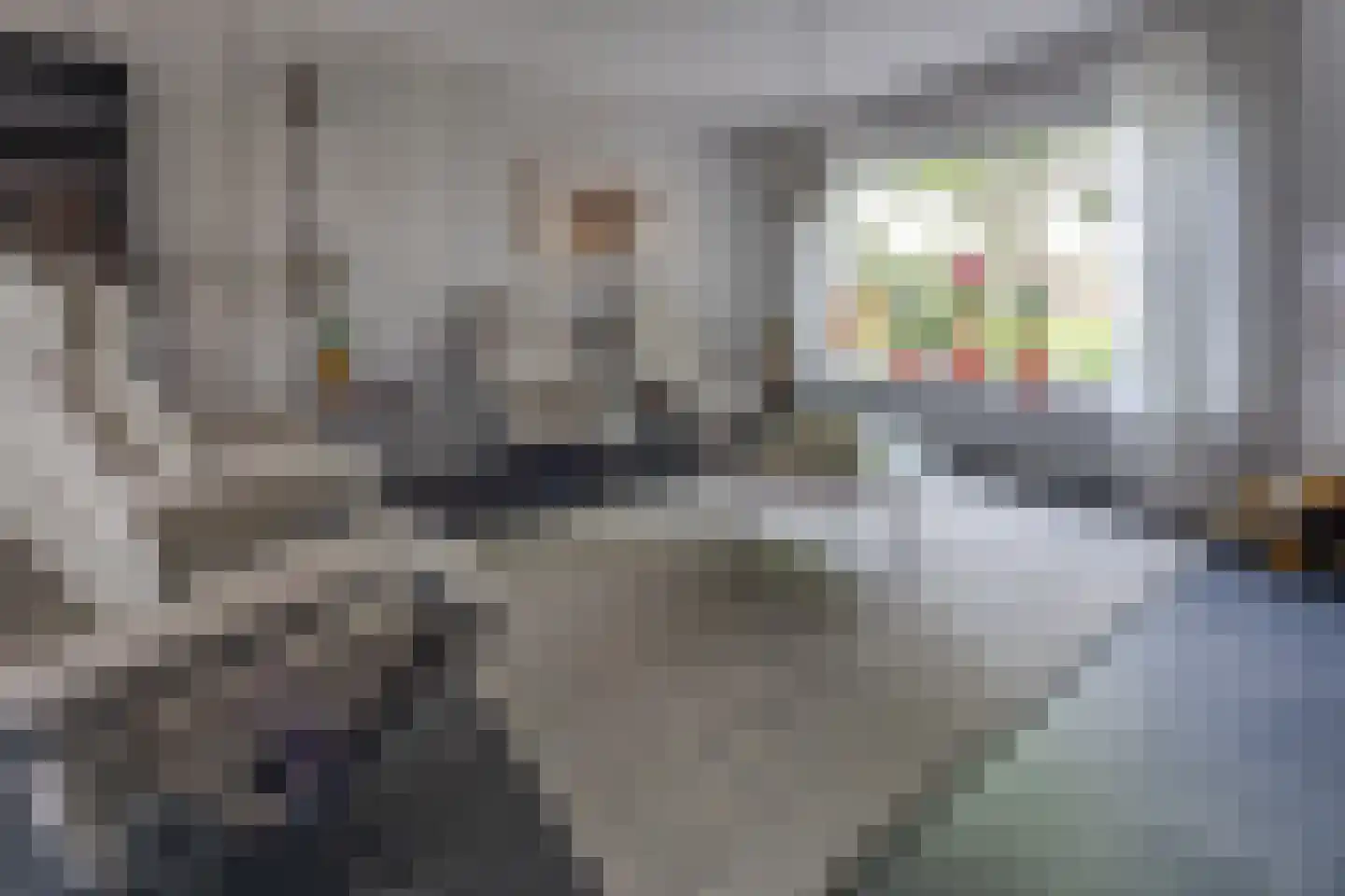 Platanenhage 40 Stadskanaal thumbnail 5