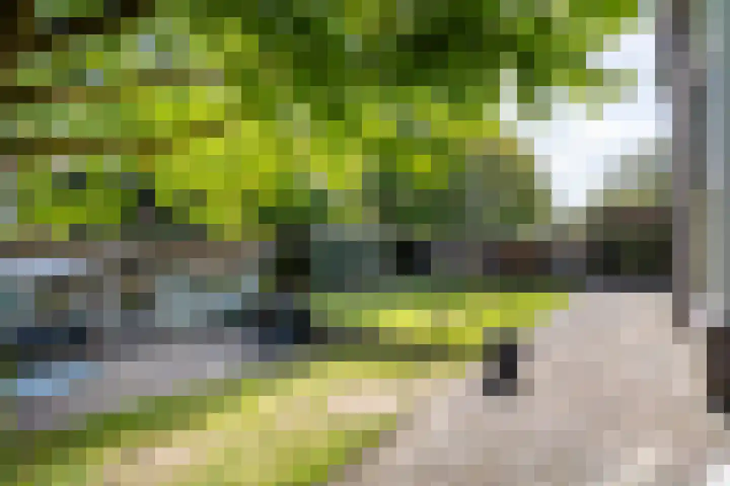 Platanenhof 25 Doetinchem thumbnail 29
