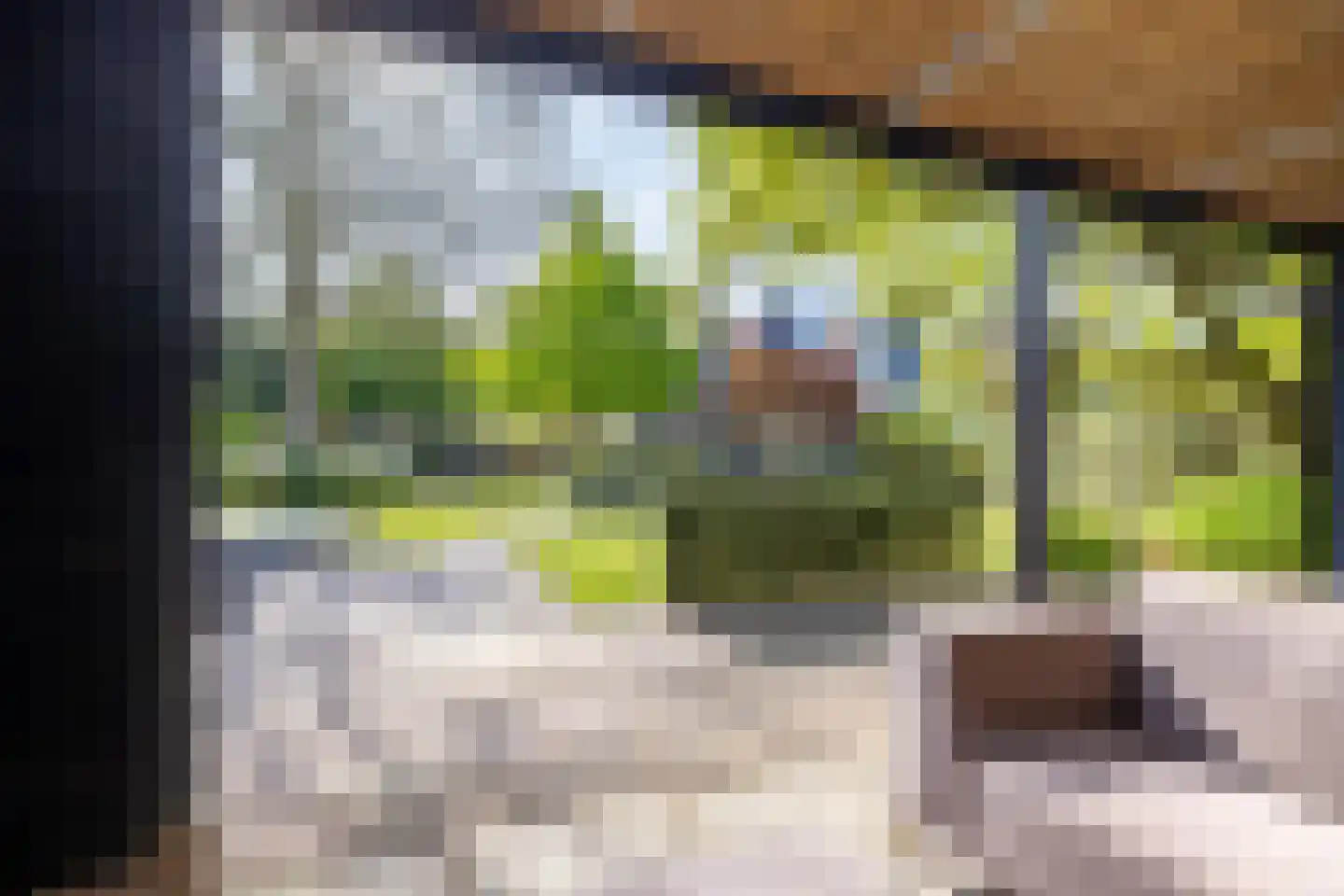 Platanenhof 25 Doetinchem thumbnail 35