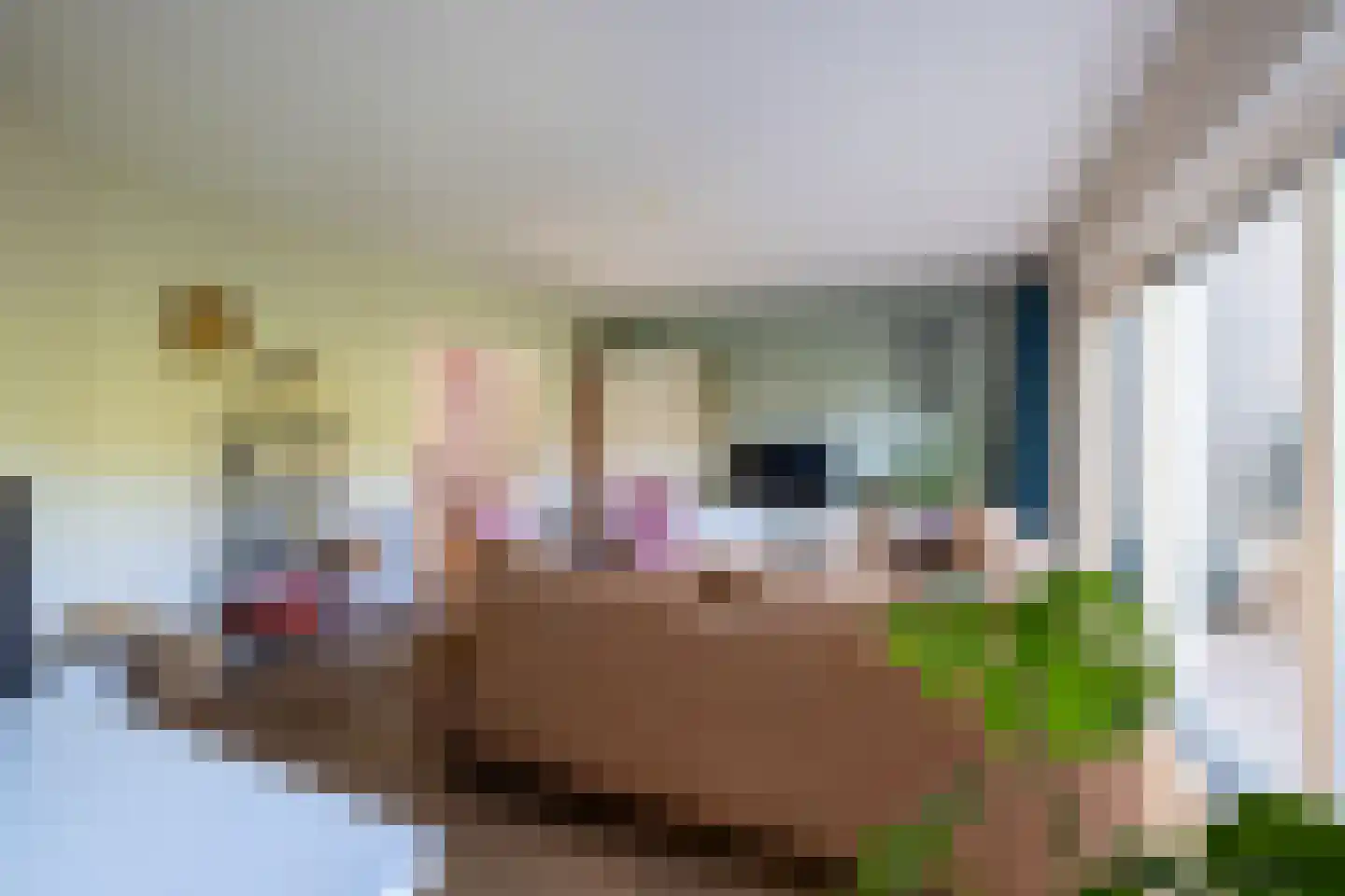 Platanenhof 25 Doetinchem thumbnail 7