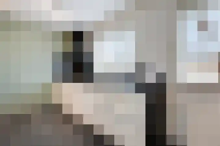 Platanenhof 7 Doetinchem thumbnail 20