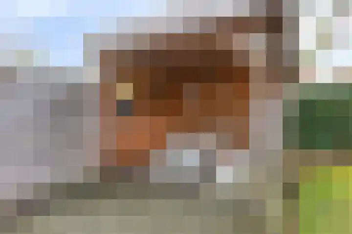 Platanenhof 7 Doetinchem thumbnail 25