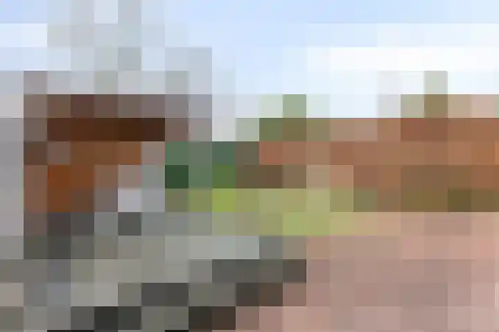 Platanenhof 7 Doetinchem thumbnail 27