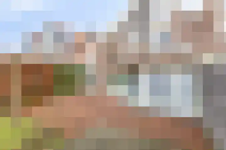 Platanenhof 7 Doetinchem thumbnail 29