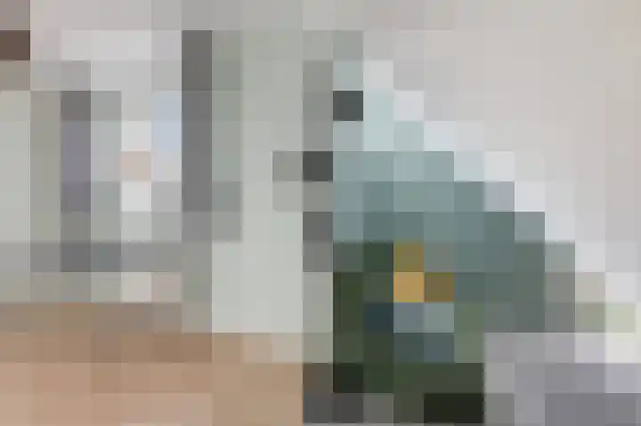 Platanenhof 7 Doetinchem thumbnail 51