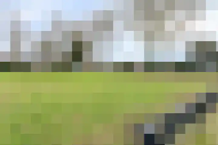 Platanenhof 7 Doetinchem thumbnail 62