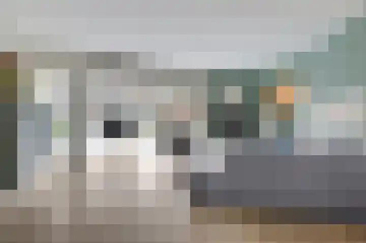 Platanenhof 7 Doetinchem thumbnail 8