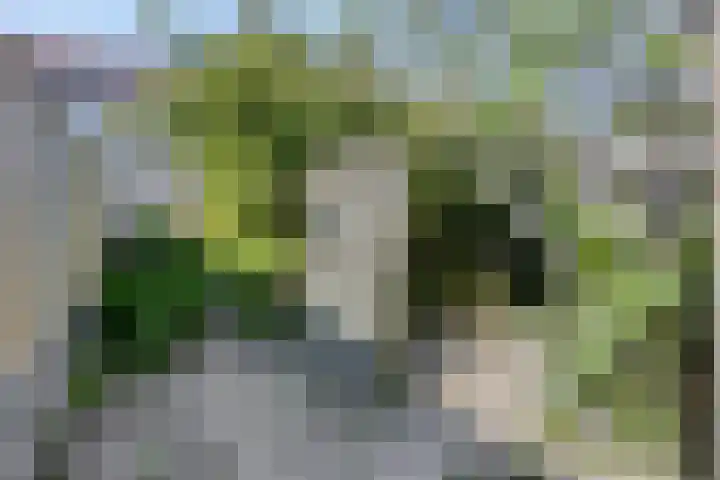 Platanenlaan 108 Heerhugowaard thumbnail 11