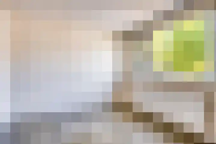 Platanenlaan 108 Heerhugowaard thumbnail 16