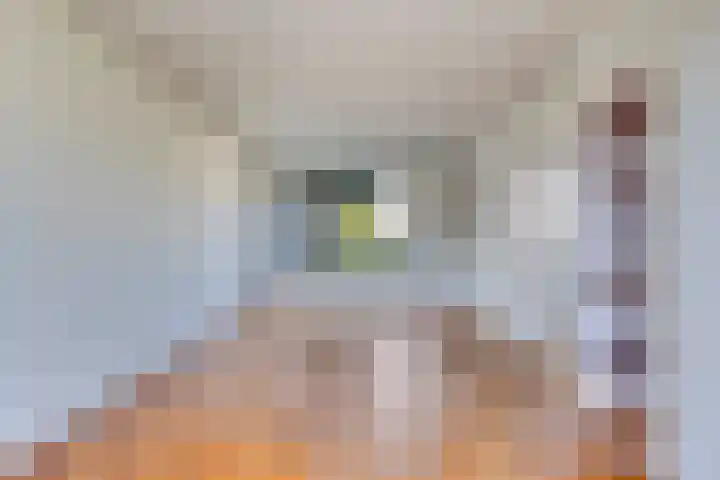 Platanenlaan 108 Heerhugowaard thumbnail 4
