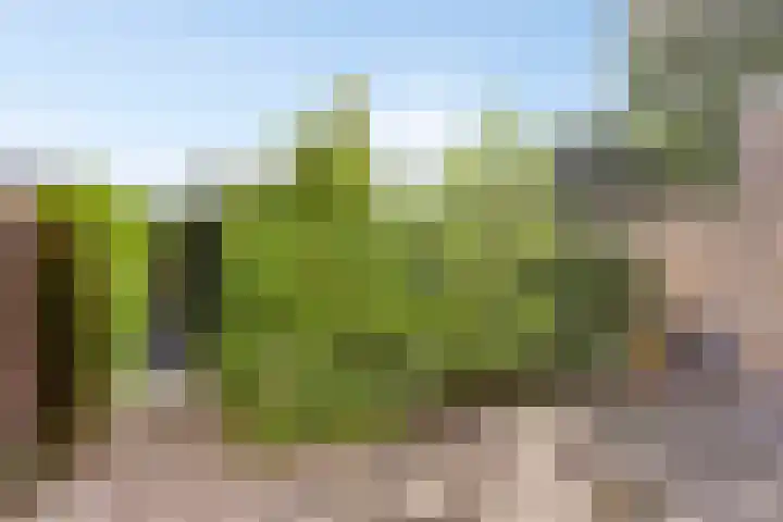 Platanenlaan 108 Heerhugowaard thumbnail 8