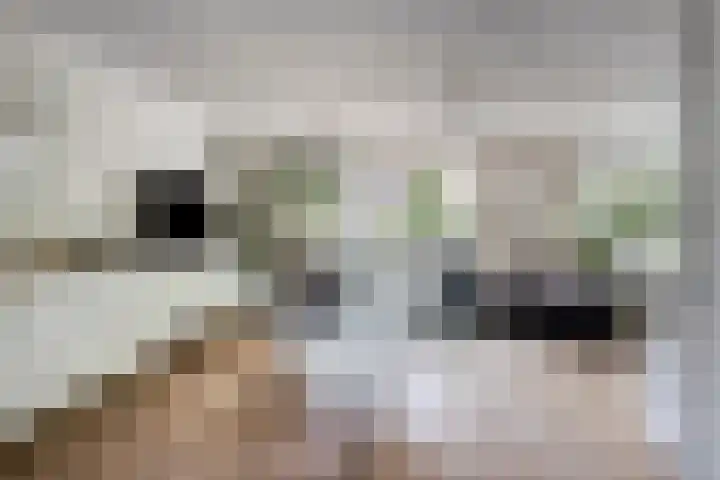 Platanenlaan 11 Veldhoven thumbnail 12