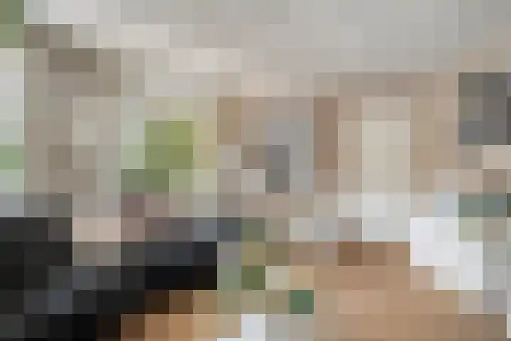 Platanenlaan 11 Veldhoven thumbnail 13