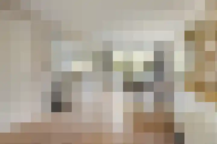 Platanenlaan 11 Veldhoven thumbnail 14