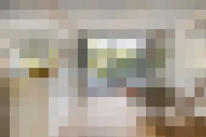 Platanenlaan 11 Veldhoven thumbnail 15