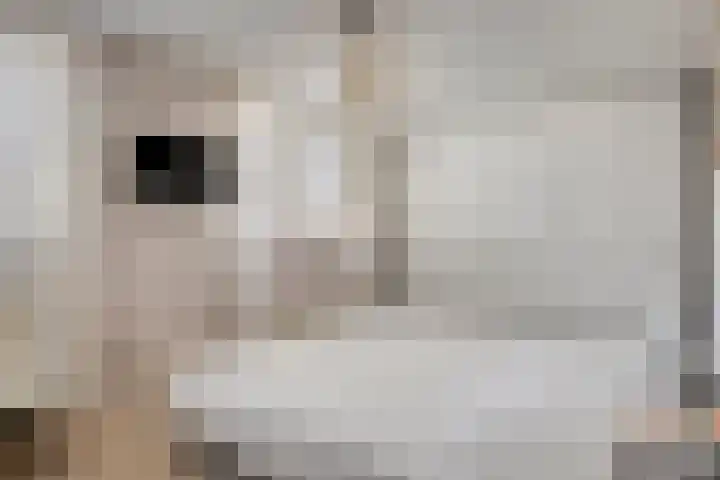 Platanenlaan 11 Veldhoven thumbnail 21