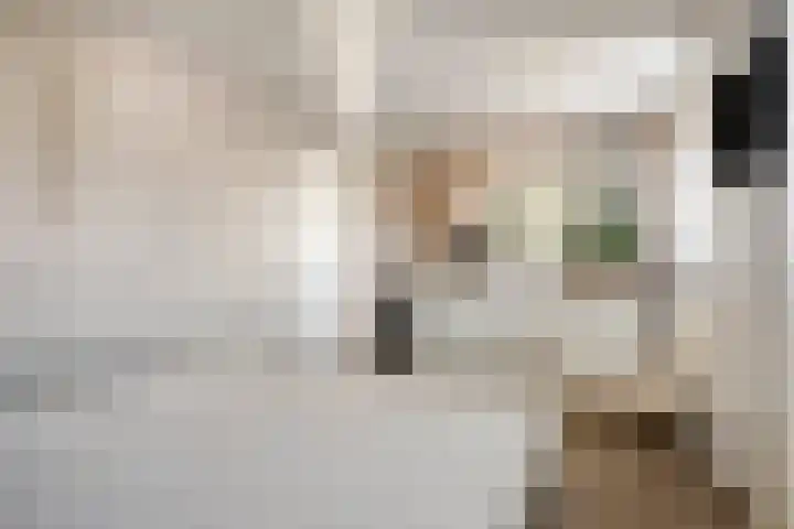 Platanenlaan 11 Veldhoven thumbnail 22