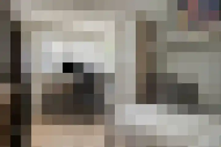 Platanenlaan 11 Veldhoven thumbnail 23
