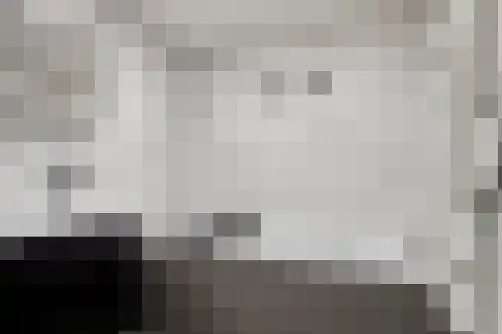 Platanenlaan 11 Veldhoven thumbnail 26