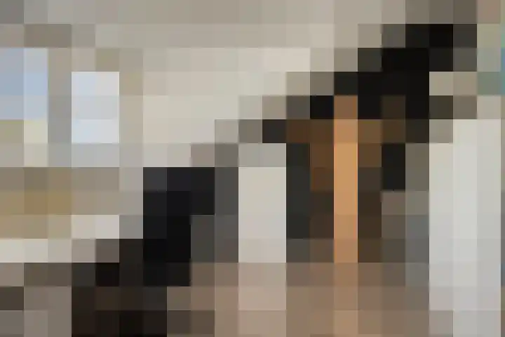 Platanenlaan 11 Veldhoven thumbnail 28