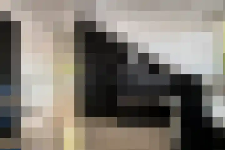 Platanenlaan 11 Veldhoven thumbnail 29