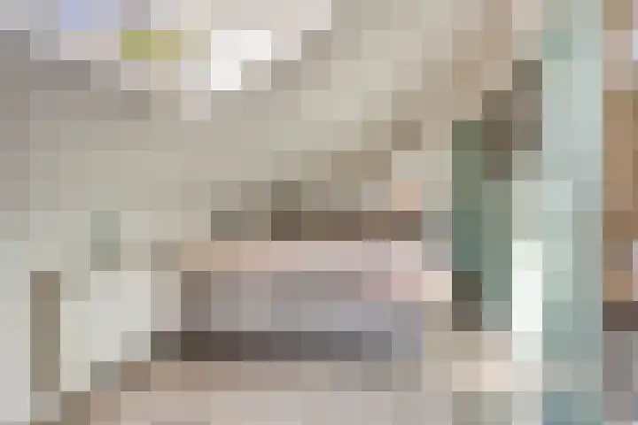 Platanenlaan 11 Veldhoven thumbnail 30